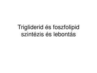 Trigliderid és foszfolipid szintézis és lebontás