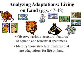 Analyzing Adaptations: Living on Land (pgs. 47-48)