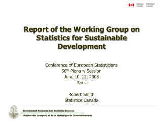 Report of the Working Group on Statistics for Sustainable Development