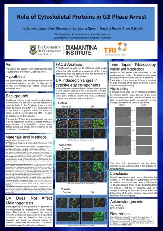 Role of Cytoskeletal Proteins in G2 Phase Arrest