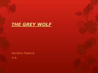 THE GREY WOLF