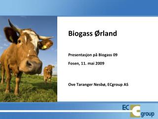 Biogass Ørland Presentasjon på Biogass 09 Fosen, 11. mai 2009 Ove Taranger Nesbø, ECgroup AS