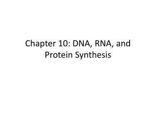 Chapter 10: DNA, RNA, and Protein Synthesis