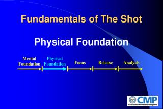 Fundamentals of The Shot