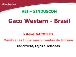 AEI – SINDUSCON Gaco Western - Brasil