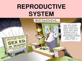 REPRODUCTIVE SYSTEM