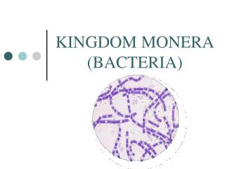 KINGDOM MONERA (BACTERIA)