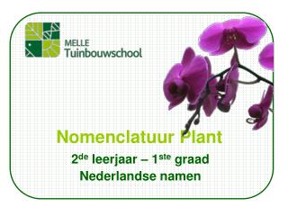 Nomenclatuur Plant