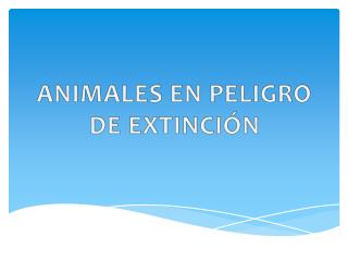 ANIMALES EN PELIGRO DE EXTINCIÓN
