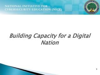 Building Capacity for a Digital Nation