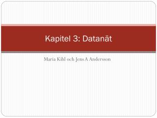 Kapitel 3: Datanät