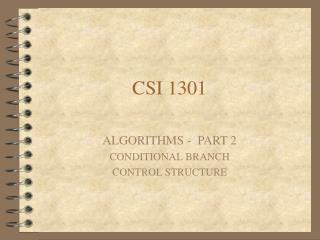 CSI 1301