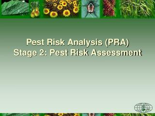 Pest Risk Analysis (PRA) Stage 2: Pest Risk Assessment
