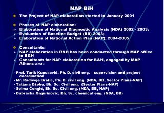 NAP BiH