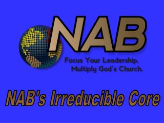 NAB's Irreducible Core
