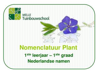 Nomenclatuur Plant