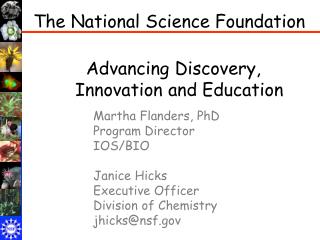 The National Science Foundation