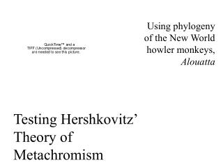Testing Hershkovitz’ Theory of Metachromism