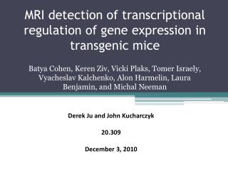 MRI detection of transcriptional regulation of gene expression in transgenic mice