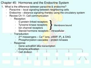 Chapter 45: Hormones and the Endocrine System