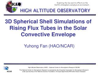 3D Spherical Shell Simulations of Rising Flux Tubes in the Solar Convective Envelope