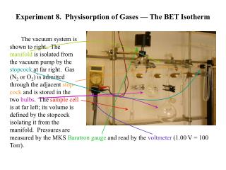 Experiment 8. Physisorption of Gases — The BET Isotherm