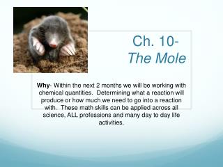 Ch. 10- The Mole