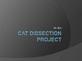 Cat Dissection Project