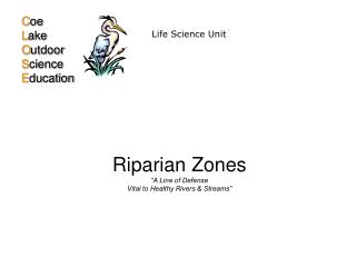 Riparian Zones “A Line of Defense Vital to Healthy Rivers &amp; Streams”