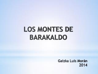 Gaizka Luis Morán 2014