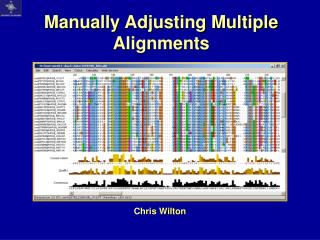 Manually Adjusting Multiple Alignments