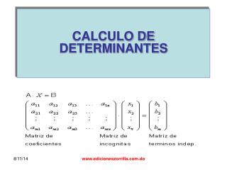 CALCULO DE DETERMINANTES