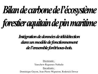 Bilan de carbone de l’écosystème forestier aquitain de pin maritime