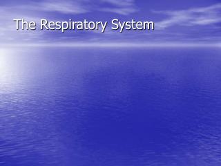 The Respiratory System