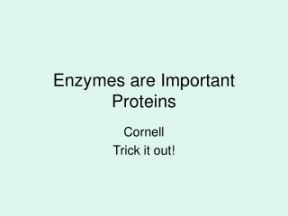 Enzymes are Important Proteins