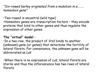 “Six-rowed barley originated from a mutation in a……… homeobox gene”