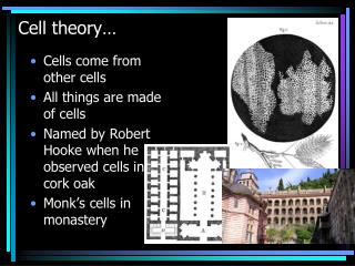 Cell theory…