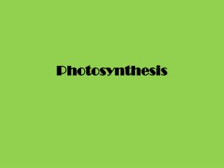 Photosynthesis