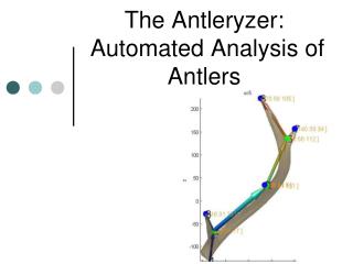 The Antleryzer:  Automated Analysis of Antlers