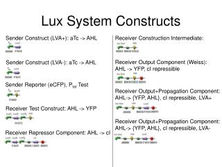 Lux System Constructs