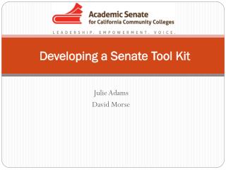 Developing a Senate Tool Kit