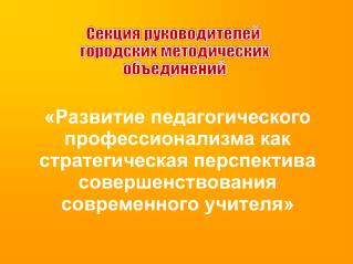 Секция руководителей городских методических объединений