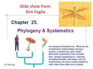 Slide show from: Kim Foglia