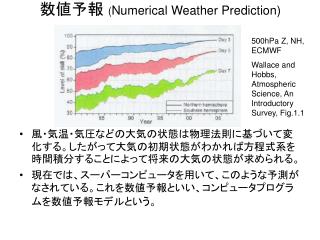 数値予報 ( Numerical Weather Prediction)