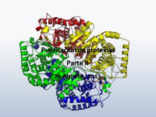 Purificación de proteínas Parte II 20 Agosto, 2013