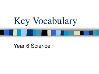 Key Vocabulary