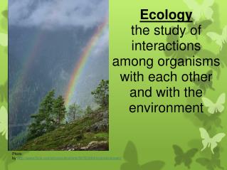 PPT - Ecology The Study Of Interactions Among Organisms With Each Other ...