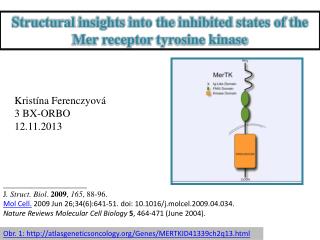 Obr. 1: atlasgeneticsoncology/Genes/MERTKID41339ch2q13.html