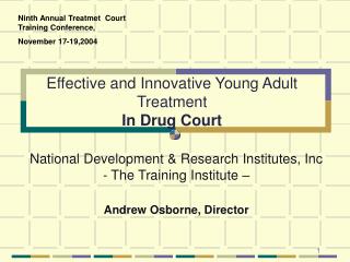 Effective and Innovative Young Adult Treatment In Drug Court