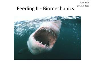 Feeding II - Biomechanics